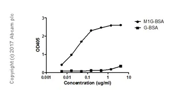 ELISA - Anti-1-methylguanosine (m1G) antibody [EPR19833-150] (AB208199)