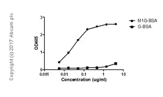 ELISA - Anti-1-methylguanosine (m1G) antibody [EPR19833-150] - BSA and Azide free (AB228858)