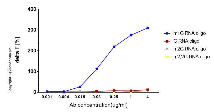 FRET - Anti-1-methylguanosine (m1G) antibody [EPR19833-150] - BSA and Azide free (AB228858)