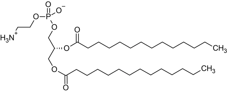 Chemical Structure - 1,2-Dimyristoyl-sn-glycero-3-phosphorylethanolamine (DMPE), Glycerophospholipid (AB143955)