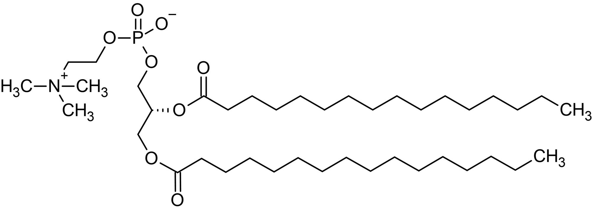 Chemical Structure - 1,2-Dipalmitoyl-sn-glycero-3-phosphorylcholine (DPPC), Phosphatidylcholine (AB143947)