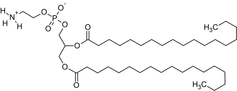 Chemical Structure - 1,2-Distearoyl-sn-glycero-3-phosphorylethanolamine (DSPE), Phosphorylethanolamine phospholipid (AB143957)