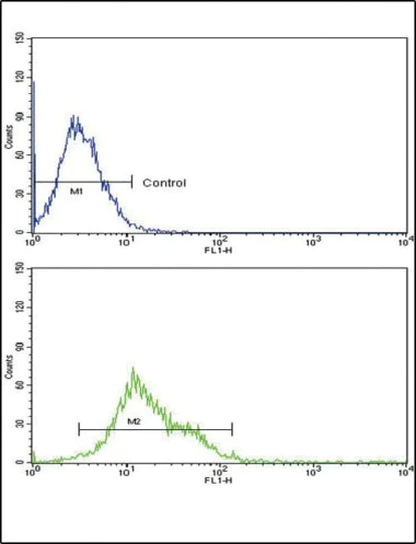 Flow Cytometry (Intracellular) - Anti-12 Lipoxygenase/ALOX12 antibody - C-terminal (AB211506)