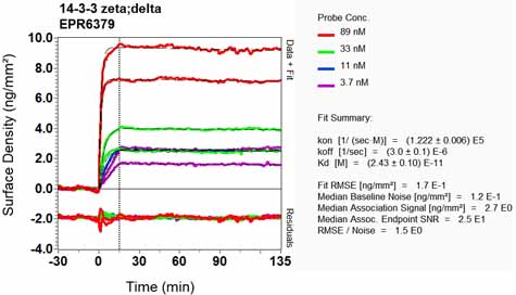 OI-RD Scanning - Anti-14-3-3 antibody [EPR6379] (AB133323), expandable thumbnail