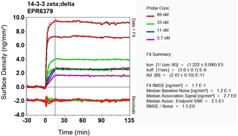 OI-RD Scanning - Anti-14-3-3 antibody [EPR6379] (AB133323)