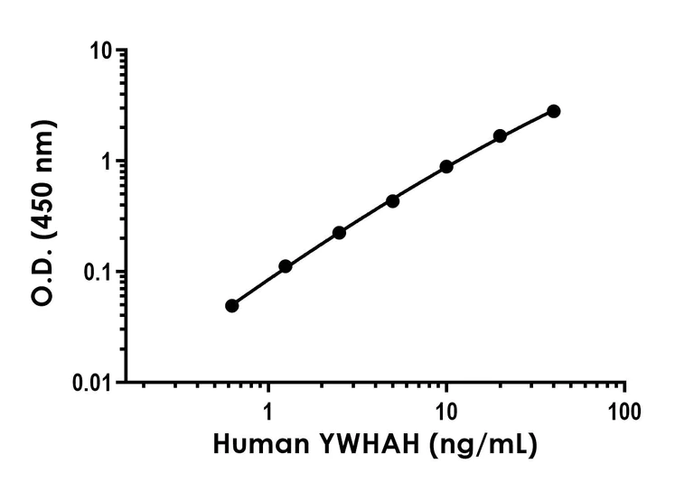 Sandwich ELISA - Anti-14-3-3 eta/YWHAH antibody [EPR20640-1] - BSA and Azide free (Detector) (AB252665)