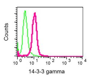 Flow Cytometry (Intracellular) - Anti-14-3-3 gamma/YWHAG antibody [EPR9655(B)] (AB137106)