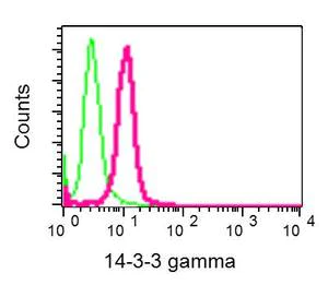 Flow Cytometry (Intracellular) - Anti-14-3-3 gamma/YWHAG antibody [EPR9655(B)] - BSA and Azide free (AB248822)