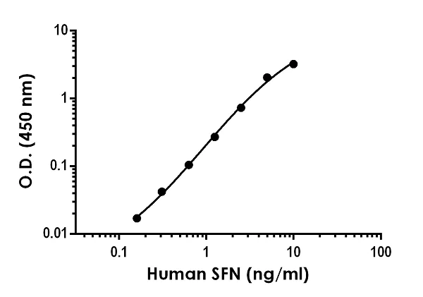 Sandwich ELISA - Anti-14-3-3 sigma/SFN antibody [EPR20647-249] - BSA and Azide free (Detector) (AB252651)