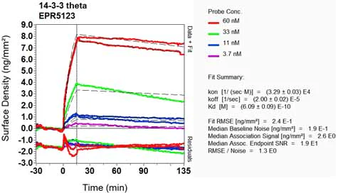 OI-RD Scanning - Anti-14-3-3 Theta + Tau antibody [EPR5123] (AB124909)