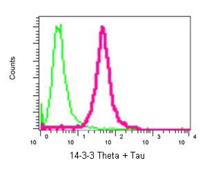 Flow Cytometry (Intracellular) - Anti-14-3-3 Theta + Tau antibody [EPR5123] - BSA and Azide free (AB248055)