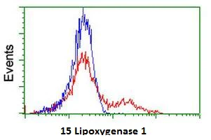 Flow Cytometry (Intracellular) - Anti-15 Lipoxygenase 1 antibody [7H6] (AB230919)