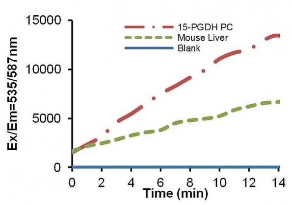 Functional Studies - 15-PGDH Activity Assay Kit (Fluorometric) (AB273327)