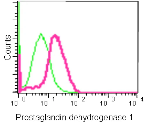 Flow Cytometry (Intracellular) - Anti-15-PGDH antibody [EPR14332] - BSA and Azide free (AB243942)