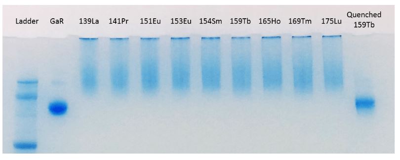 Conjugation - 151Eu Metal Conjugation Kit - Lightning-Link® (AB269834), expandable thumbnail