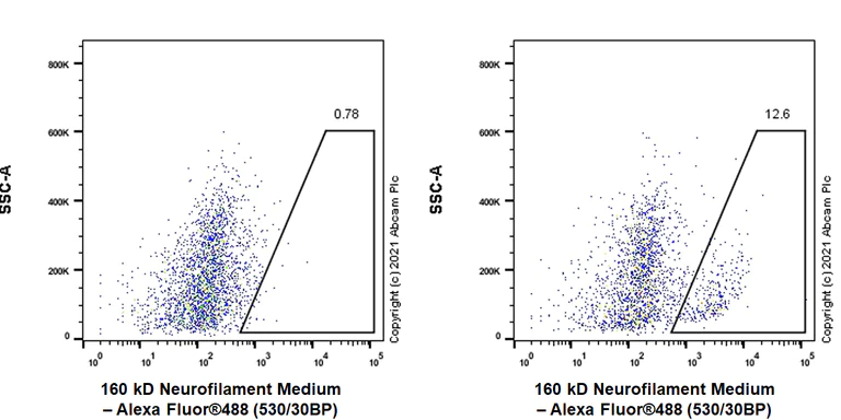 Flow Cytometry (Intracellular) - Anti-160 kD Neurofilament Medium antibody [EPR23510-76] - BSA and Azide free (AB281830)