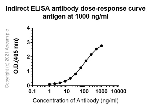 ELISA - Anti-160 kD Neurofilament Medium antibody [EPR23510-76] - Neuronal Marker (ab254348), expandable thumbnail