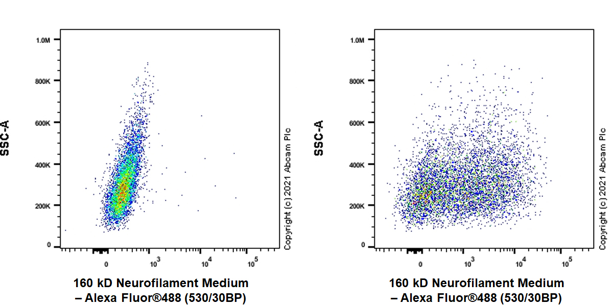 Flow Cytometry (Intracellular) - Anti-160 kD Neurofilament Medium antibody [EPR23510-76] - Neuronal Marker (ab254348), expandable thumbnail