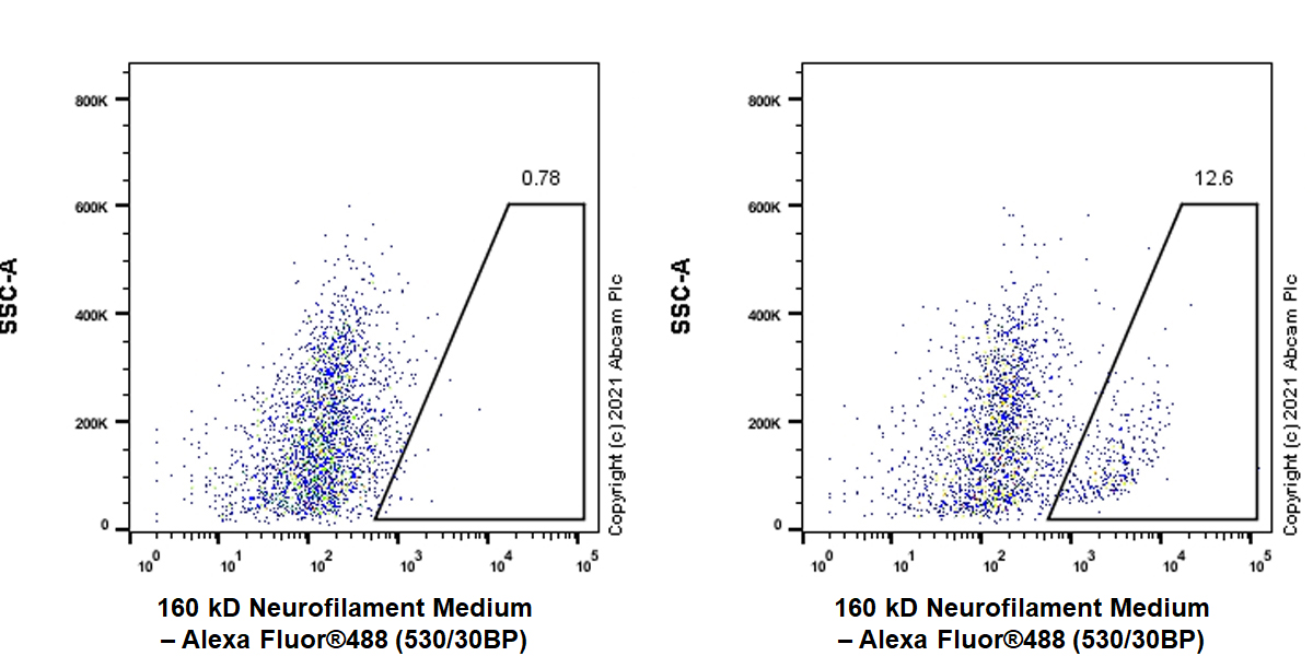 Flow Cytometry (Intracellular) - Anti-160 kD Neurofilament Medium antibody [EPR23510-76] - Neuronal Marker (ab254348), expandable thumbnail