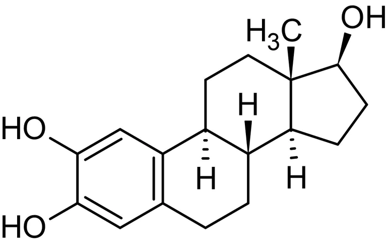 Chemical Structure - 2-Hydroxyestradiol, Cytochrome P450 metabolite of estradiol (AB142519)