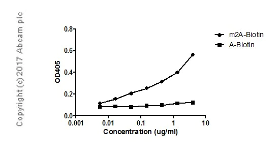 ELISA - Anti-2-methyladenosine (m2A) antibody [EPR -19851-59] (AB211495)