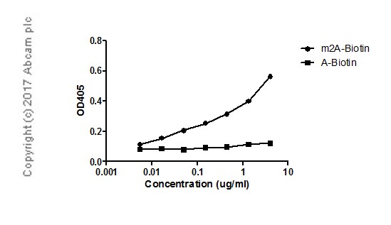 ELISA - Anti-2-methyladenosine (m2A) antibody [EPR -19851-59] - BSA and Azide free (AB251530), expandable thumbnail