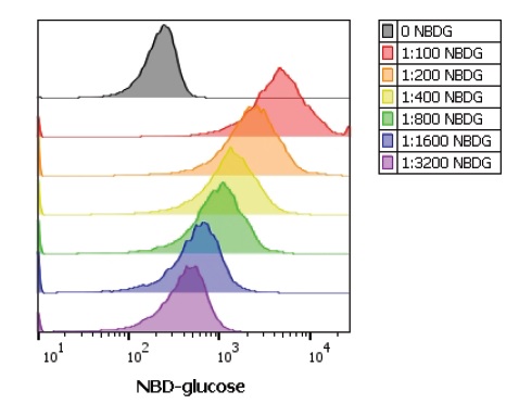 Functional Studies - 2-NBDG Glucose Uptake Assay Kit (AB235976), expandable thumbnail