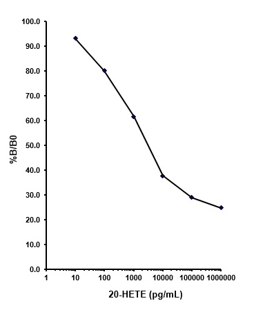 Competitive ELISA - 20 HETE ELISA Kit (AB175817), expandable thumbnail
