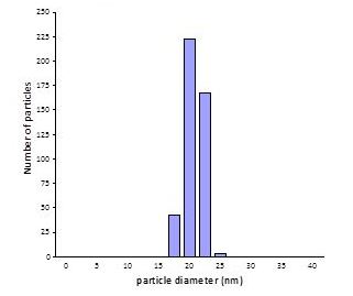 Functional Studies - 20nm Gold Nanoparticles (10 OD) (AB269936), expandable thumbnail