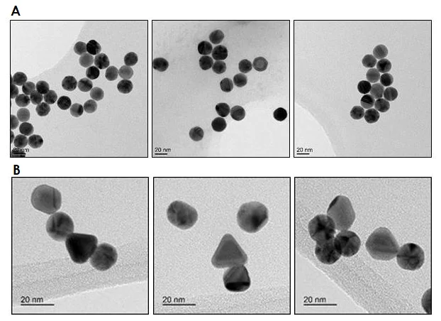 Electron Microscopy - 20nm Gold Nanoparticles (15 OD) (AB269937)