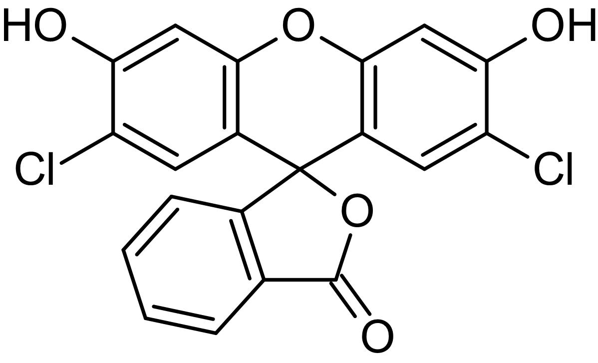 2,7-Dichlorofluorescein, Intracellular fluorescent label