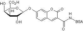 Chemical Structure - 3-Carboxyumbelliferyl β-D-galactoside, BSA conjugate (AB275363)