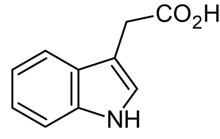 Chemical Structure - 3-Indole acetic acid (IAA), Natural phytohormone (AB146402)