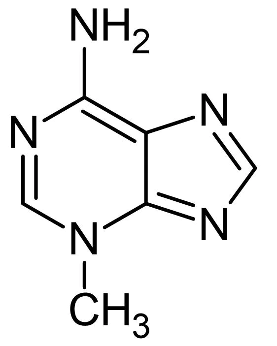 Chemical Structure - 3-Methyladenine, selective PI3K inhibitor (AB120841)