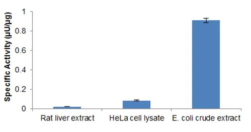 Functional Studies - 3' to 5' Exonuclease Activity Assay Kit (Fluorometric) (AB273269)
