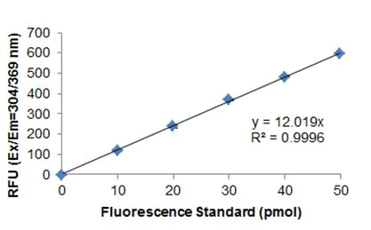 Functional Studies - 3' to 5' Exonuclease Activity Assay Kit (Fluorometric) (AB273269)
