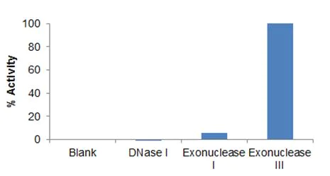 Functional Studies - 3' to 5' Exonuclease Activity Assay Kit (Fluorometric) (AB273269)
