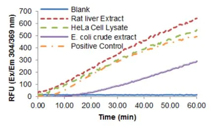 Functional Studies - 3' to 5' Exonuclease Activity Assay Kit (Fluorometric) (AB273269)
