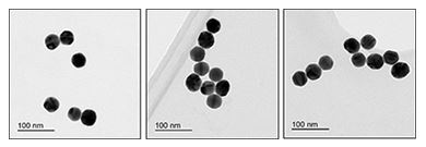 Electron Microscopy - 40nm Gold Nanoparticles (20 OD) (AB269932), expandable thumbnail