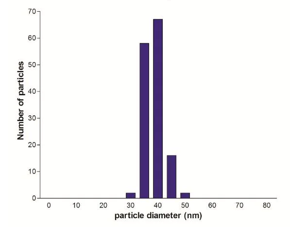 Functional Studies - 40nm Gold Nanoparticles (20 OD) (AB269932)