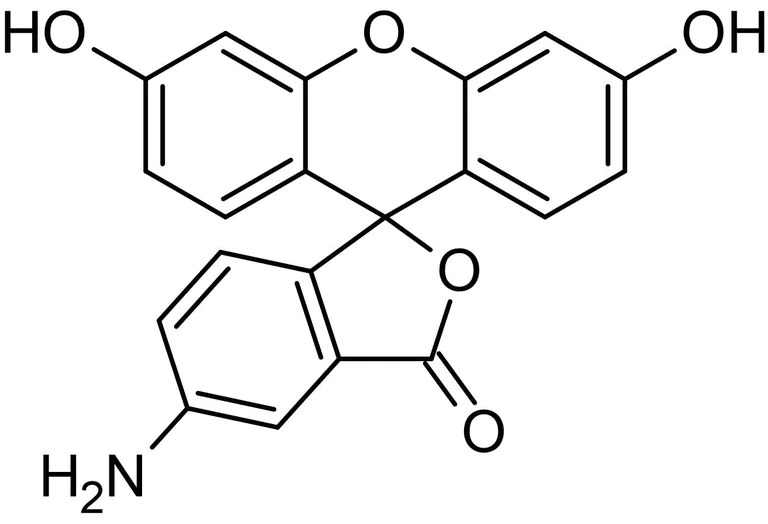 Chemical Structure - 5-Aminofluorescein (Fluoresceinamine, isomer I), Fluorescence marker (AB145305)