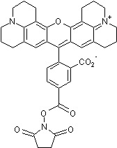 Chemical Structure - 5-Carboxy-X-Rhodamine, NHS Ester (AB274874)
