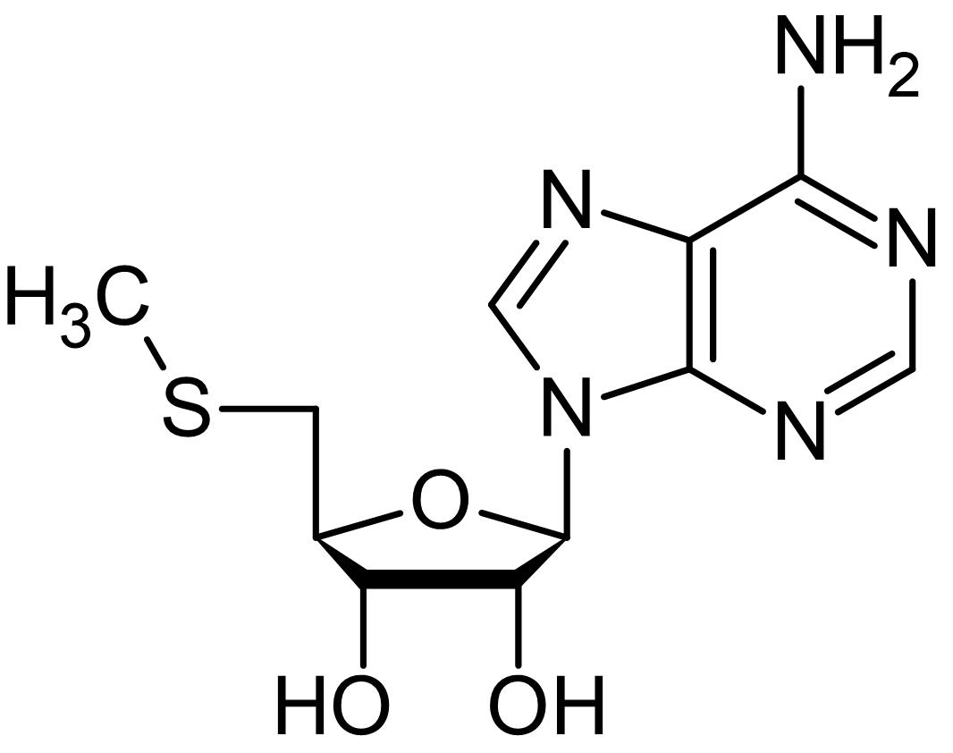 Chemical Structure - 5'-Deoxy-5'-methylthioadenosine (Methylthioadenosine), Adenosine A1 receptor agonist (AB141257)