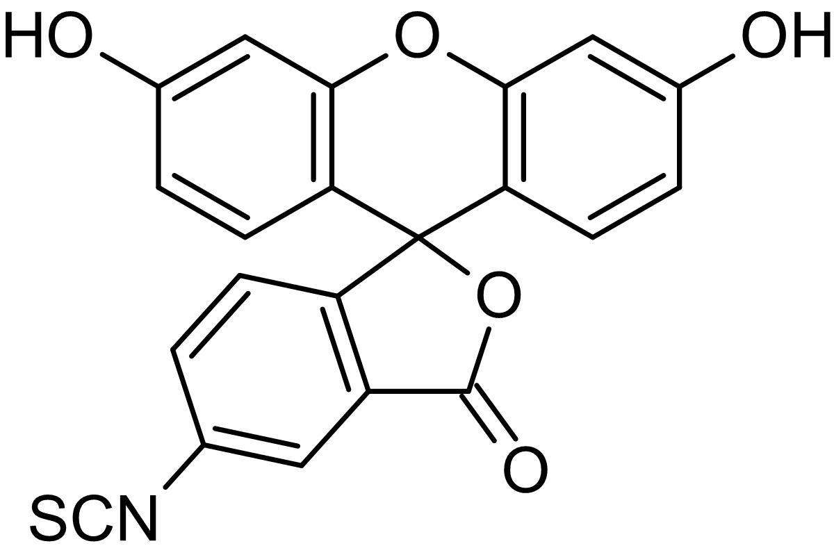 Chemical Structure - 5-FITC (5-Fluorescein Isothiocyanate), Fluorescent marker (AB145325), expandable thumbnail