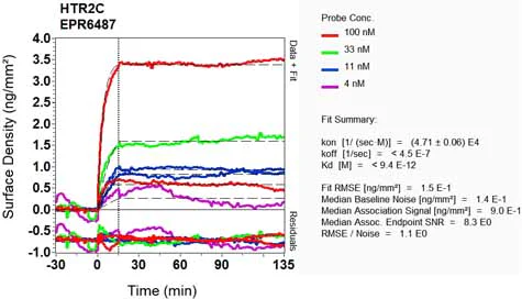 OI-RD Scanning - Anti-5-HT2C Receptor antibody [EPR6487] - BSA and Azide free (AB232385)