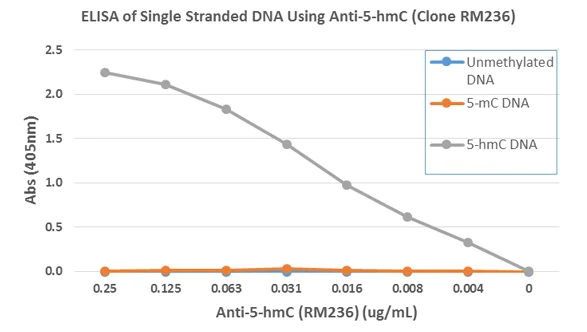 ELISA - Anti-5-hydroxymethylcytosine (5-hmC) antibody [RM236] (AB214728)