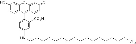 Chemical Structure - 5-(Octadecanoylamino)fluorescein (AB275323), expandable thumbnail