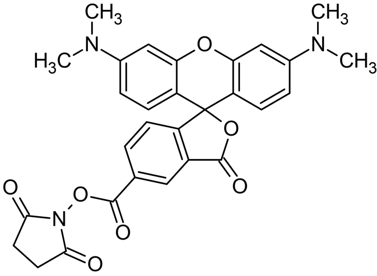 Chemical Structure - 5-TAMRA N-succinimidyl ester (5-Carboxy-tetramethylrhodamine N-succinimidyl ester) (AB145433)