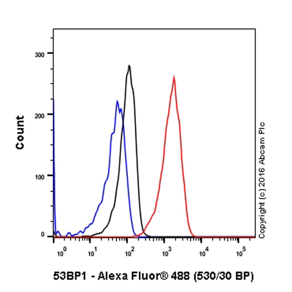 Flow Cytometry (Intracellular) - Anti-53BP1 antibody [EPR2172(2)] - BSA and Azide free (AB222232)