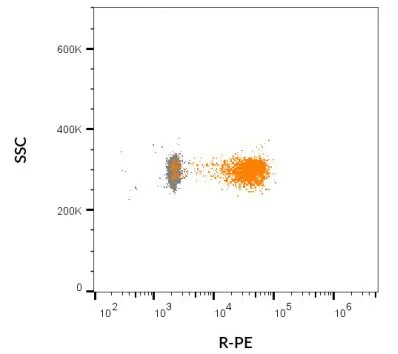 Flow Cytometry - 560/585 nm Extracellular Vesicle Membrane Staining Kit (AB314687)